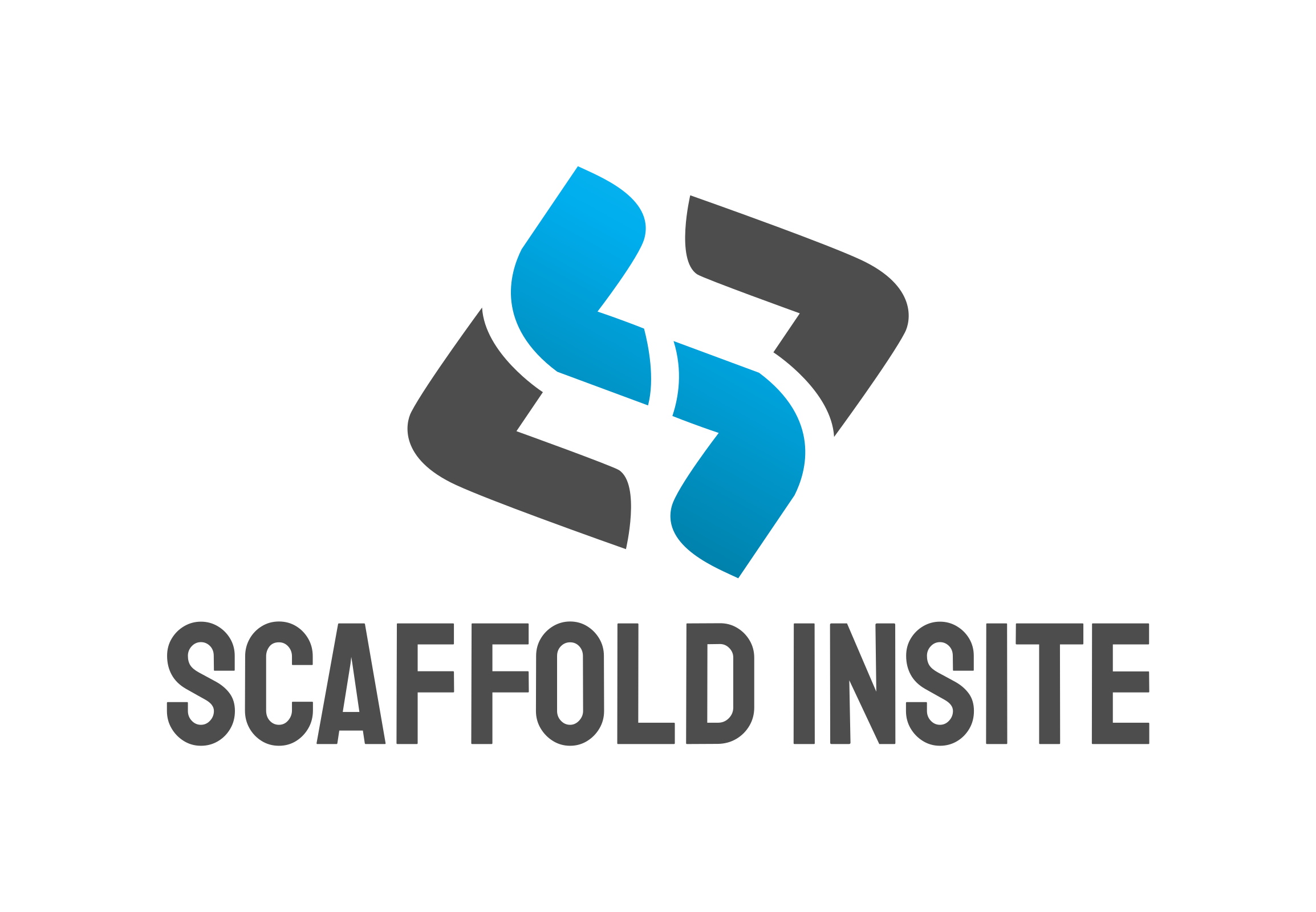 Scaffold Insite Logo